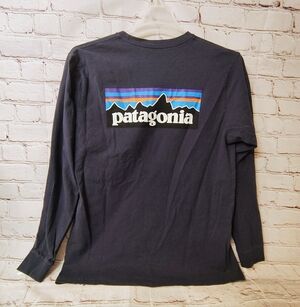 Mens Patagonia P 6 Logo Blue Longsleeve Responsibili Tee Tee Large